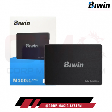 DISCO SOLIDO BIWIN 256GB M100 2.5" SATA SSD 500/550MB/S
